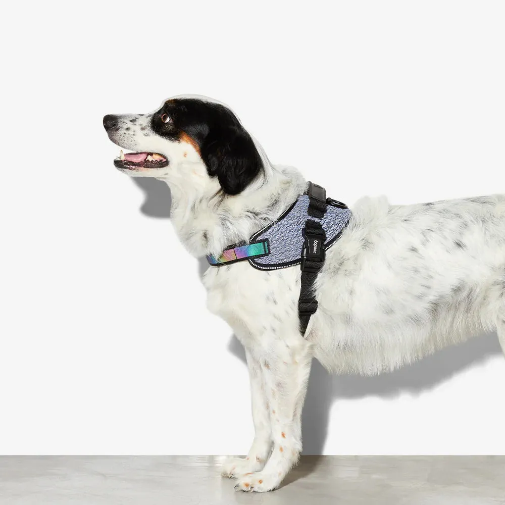 Urban FlyHarness